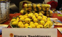 Coğrafi işaretli ürünlerin AB tescil süreci hızlandı