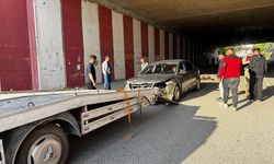 Hatay'da otomobilin çarptığı 17 koyun telef oldu