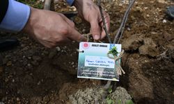 Kadirli ilçesinde 'Adalet Ormanı' oluşturuldu