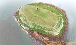 Kuraklıktan etkilenen Mada Adası'nda yağışlar su seviyesini yükseltti