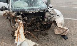 Malatya'da tabelaya çarpan otomobildeki 2 kişi yaralandı