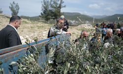 Mut ilçesinde 700 zeytin fidanı toprakla buluşturuldu