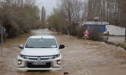 Sivas'ta Kızılırmak taştı Canova köyü kısmen su altında kaldı