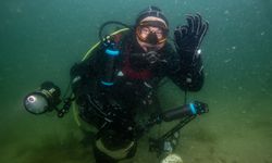 Tuzla sahillerinde keşfedilen deniz çayırı ile pinalara bilimsel takip