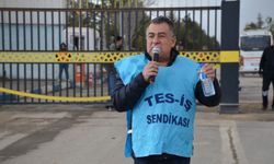 Afşin-Elbistan A Termik Santrali’ndeki sorunlar TBMM gündeminde