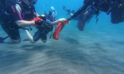 Antalya'da deniz dibi ve kıyı temizliği yapıldı