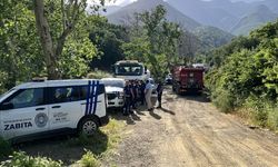 Hatay'da çıkan orman yangını söndürüldü