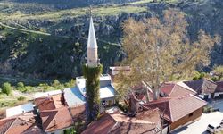 Isparta'da sarmaşıklı minare görenlerin dikkatini çekiyor