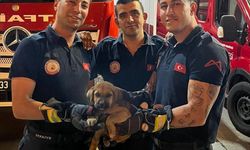 Mersin'de otomobilin motor kısmına sıkışan köpek yavrusunu itfaiye kurtardı