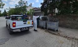 Temizlik ve İlaçlama Aralıksız Sürüyor…