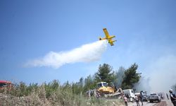 Çanakkale'de ormanlık alanda çıkan yangına müdahale ediliyor