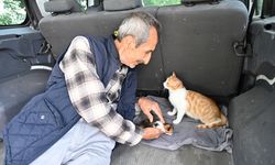 Emekli öğretmen aracının bagajında yavrulayan kediye sahip çıktı