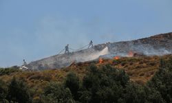 Hatay'da makilik alanda çıkan yangın kontrol altına alındı