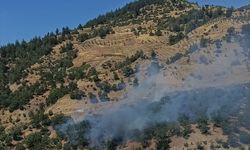 Kahramanmaraş'ta çıkan orman yangını kontrol altına alındı