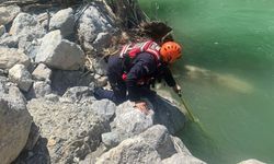 Kahramanmaraş'ta nehirde kaybolan kişiyi arama çalışmaları sürüyor