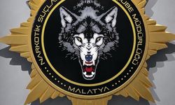 Malatya'da uyuşturucu operasyonunda 2 zanlı yakalandı