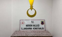 Mersin'de 7 bin 256 sentetik ecza hapı ele geçirildi
