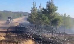 Gaziantep’te orman yangını kontrol altına alındı