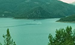 Adana'da ormanlık alanda yangın çıktı