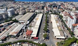 Alanya Toptancı Hali'nden yılda binlerce ton tropikal meyve pazara sunuluyor