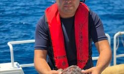 Alanya'da çuvala dolanan caretta carettayı tur teknesinin kaptanı kurtardı