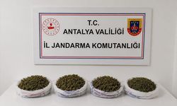 Antalya'da 1 kilo 979 gram esrar ele geçirildi