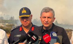 Antalya'da iki günde çıkan 12 yangından 10'u söndürüldü