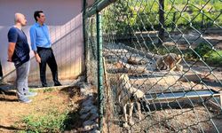 Bozyazı Kaymakamı Tuncay Topsakaloğlu hayvan barınağını inceledi