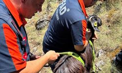 Burdur'da dağlık alanda mahsur kalan keçi kurtarıldı