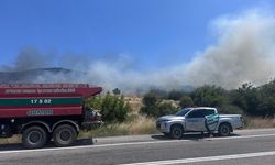 Çanakkale'de ormanlık alanda çıkan yangına müdahale ediliyor