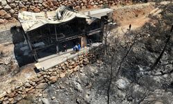 Fethiye'deki orman yangınından etkilenen alanda hasar tespit çalışması yapılıyor