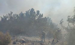 GÜNCELLEME - Mersin'de çıkan orman yangınına müdahale ediliyor