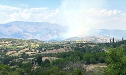 GÜNCELLEME - Pütürge'de çıkan orman yangınına müdahale ediliyor