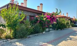 Manavgat yangınının 5'inci yılında afetin izleri devletin çalışmalarıyla silindi