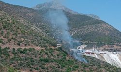 Mersin'de makilik alanda çıkan yangın söndürüldü