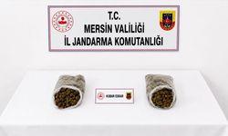 Mersin'de uyuşturucu satıcılarına yönelik operasyonda 2 şüpheli tutuklandı