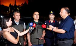Milas'ta ormanlık alanda çıkan yangına karadan müdahale sürüyor