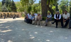 Şanlıurfa, Gaziantep, Kahramanmaraş ve Adıyaman'da sıcak hava etkili oluyor
