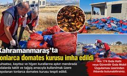 Kahramanmaraş’ta ruhsatsız mandırada tonlarca domates kurusu imha edildi