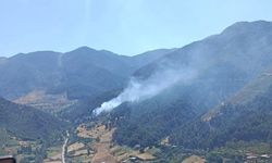 Kahramanmaraş’ta peş peşe orman yangını korkuttu
