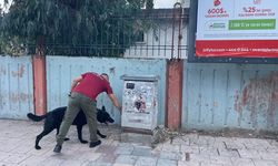 Adana'da okul çevrelerinde narkotik denetimi yapıldı