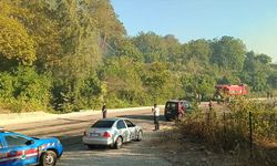 Adana'nın Kozan ilçesinde çıkan orman yangınına müdahale ediliyor