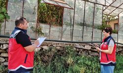 Alanya'da 22 bin dekar sera alanında derecelendirme çalışması başlatıldı