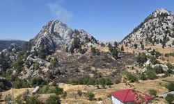Alanya'da çıkan zirai alan yangını kontrol altına alındı
