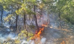 Antalya'da ormanlık alanda çıkan yangına müdahale ediliyor