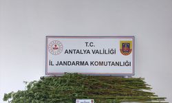 Antalya'da uyuşturucu operasyonunda bir zanlı yakalandı