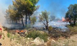 Antalya'da zirai alanda çıkan yangın söndürüldü