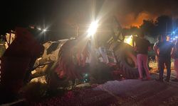 GÜNCELLEME 2 - Antalya'da ormanlık ve tarım arazilerinin bulunduğu alanda çıkan yangına müdahale ediliyor