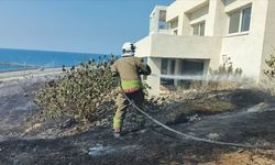 Hatay'da otluk alanda çıkan yangın söndürüldü