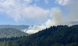 Kahramanmaraş'ta çıkan orman yangını kontrol altına alındı